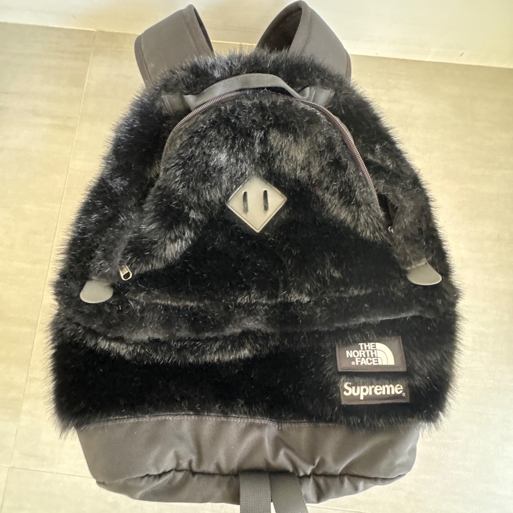 Supreme X north face fury backpack